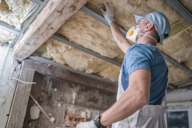 Professional Insulation Contractor in IN